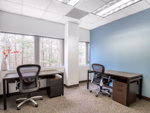 1 Person Virtual Office