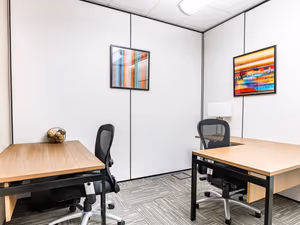 1 Person Virtual Office
