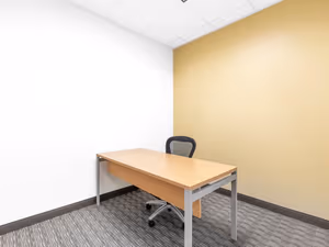 1 Person Virtual Office
