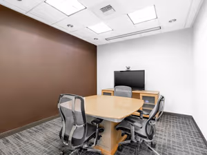 1 Person Virtual Office