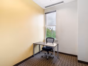 1 Person Virtual Office