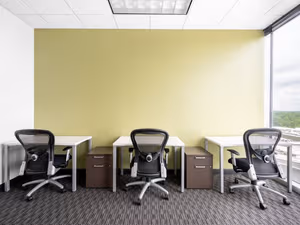 1 Person Virtual Office