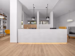 1 Person Virtual Office