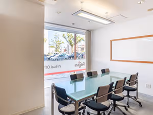 1 Person Virtual Office