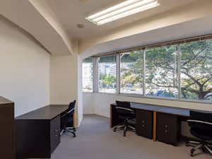 1 Person Virtual Office