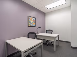 1 Person Virtual Office