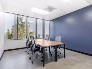 1 Person Virtual Office