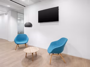 1 Person Virtual Office