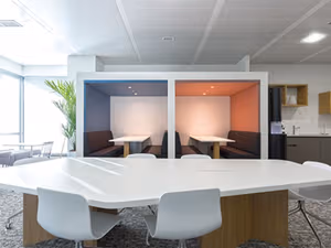 1 Person Virtual Office