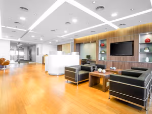 1 Person Virtual Office