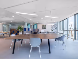 1 Person Virtual Office