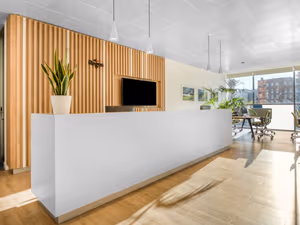 1 Person Virtual Office