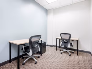 1 Person Virtual Office
