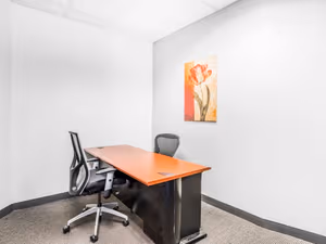 1 Person Private Office