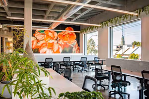 1 Person Coworking Desk