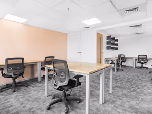 1 Person Virtual Office