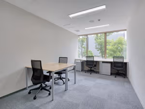 1 Person Virtual Office