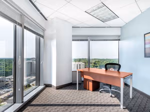 1 Person Virtual Office