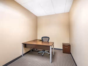 1 Person Virtual Office