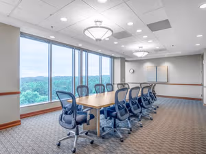 1 Person Virtual Office