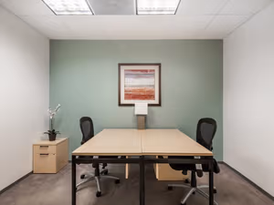 1 Person Virtual Office