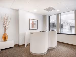 1 Person Virtual Office