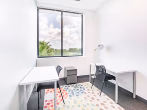 1 Person Virtual Office