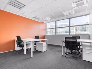 1 Person Virtual Office