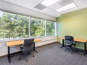 1 Person Virtual Office