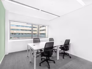 1 Person Virtual Office