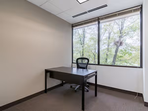 1 Person Private Office