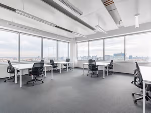 1 Person Virtual Office