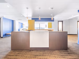 1 Person Virtual Office