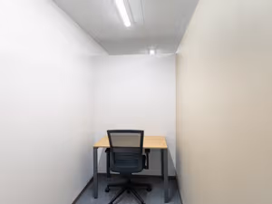 1 Person Virtual Office