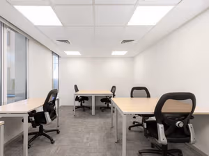 1 Person Virtual Office