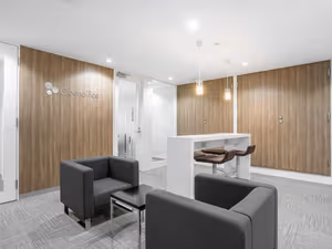 1 Person Virtual Office