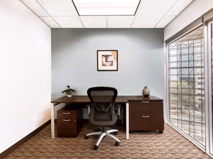 1 Person Virtual Office