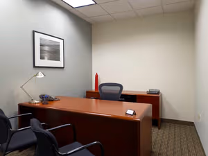 1 Person Virtual Office