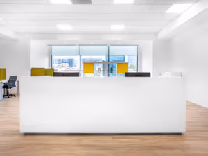 1 Person Virtual Office