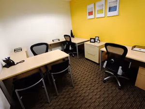 1 Person Virtual Office