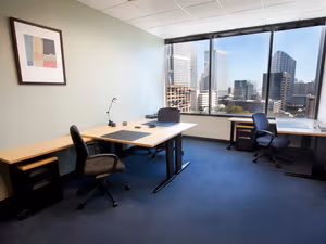 1 Person Virtual Office