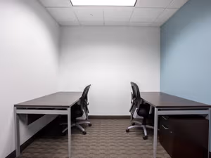 1 Person Virtual Office