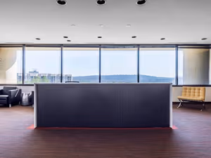 1 Person Virtual Office