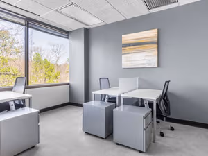 1 Person Virtual Office