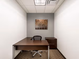 1 Person Private Office