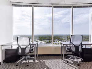 1 Person Virtual Office