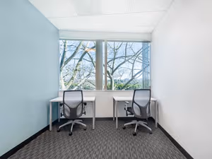 1 Person Virtual Office