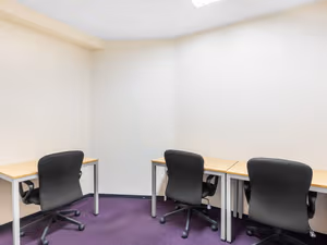 1 Person Virtual Office