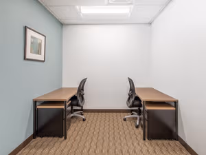 1 Person Virtual Office