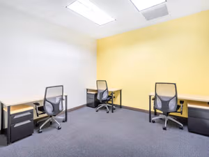 1 Person Virtual Office